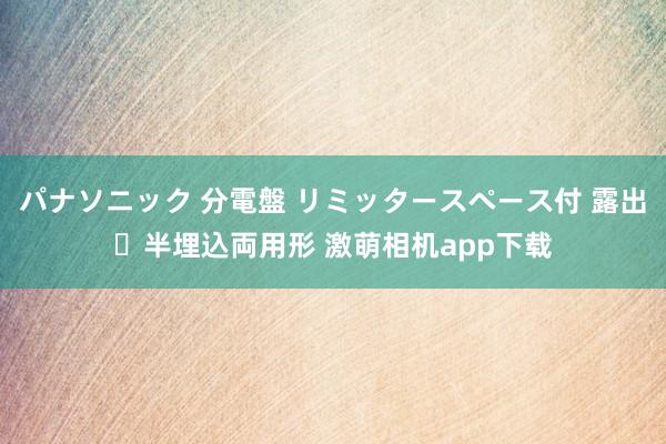 パナソニック 分電盤 リミッタースペース付 露出・半埋込両用形 激萌相机app下载